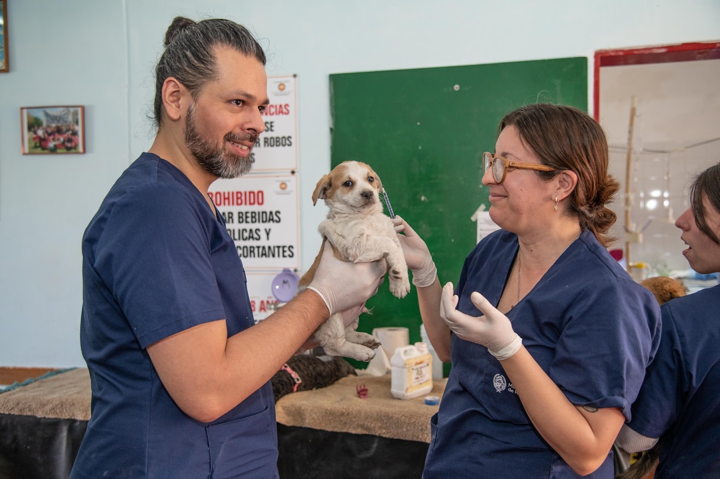 Benefícios da automação para hospitais veterinários
